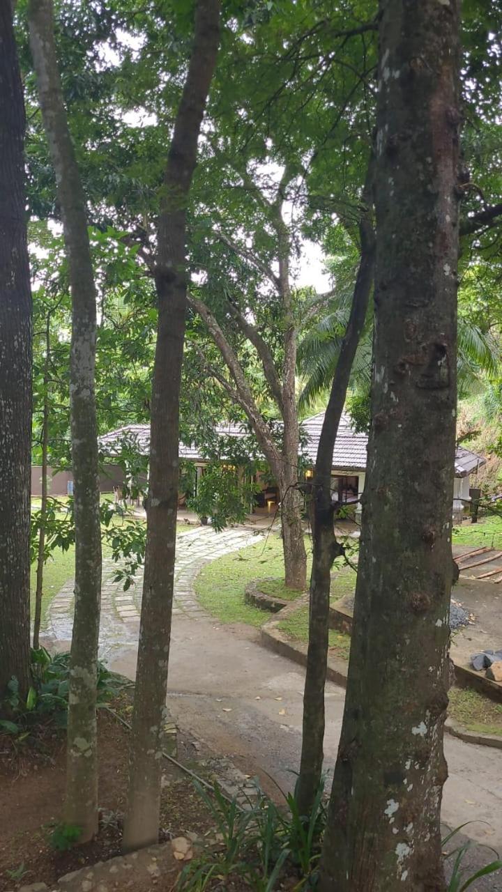 Villa D55 Kandy Exterior foto